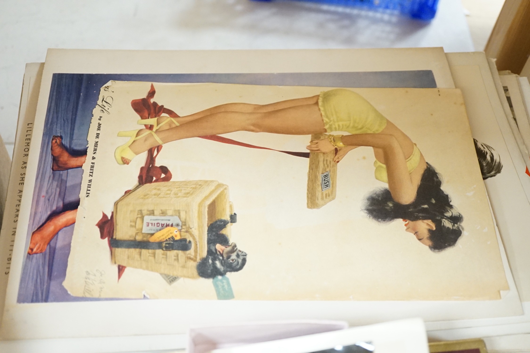 Eleven 1950s photos of models, for Tit-Bits and other publications, together with A London Illustrated News 1953 souvenir Coronation book and a small collection of 15 related photographs on three album leaves, and common